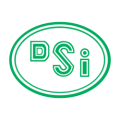 dsi logo